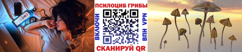 Псилоцибиновые грибы прущие грибы  MEGA как зайти  Сим 